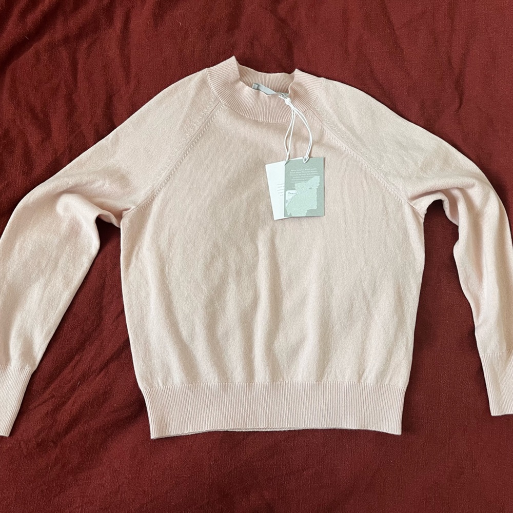 Everlane Boxy Crew 100% Cashmere Sweater
